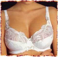 -Hier klicken f�r grosse Produktabbildung-                                          party dessous partydessous dessousparty desssous party dessous parti partie dessousberater dessousberaterinn dessousberaterinnen dessous abend dessousabend dessous nebenjob nebenverdienst geld verdienen lingerie alles lingerie sexy erotik w&auml;sche waesche unterw&auml;sche unterwaesche bademoden bikini badeanzug  bh slips tanga string body bodys strapse sets  fashion rio pants mambo frauen mollige mode korsett strumpfhosen feinstrumpfhosen dessous alles lingerie sexy erotik w&auml;sche waesche unterw&auml;sche unterwaesche bademoden bikini badeanzug donna bh slips tanga string body bodys strapse sets  fashion rio pants mambo frauen mode korsett dessous kollektion lingerie sexy erotik w&auml;sche waesche unterw&auml;sche unterwaesche bademoden bikini badeanzug donna bh slips tanga string body bodys strapse sets fashion rio pants mambo frauen mollige mode korsett strumpfhosen feinstrumpfhosen dessous sexy erotik erotische w&auml;sche waesche unterw&auml;sche unterwaesche bademoden badehosen boxer string tanga unterhose uomo slip hemd t-shirt unterhemd sets fashion mann m&auml;nner maenner erotik-dessous fashion-dessous bade-dessous aufregende-dessous